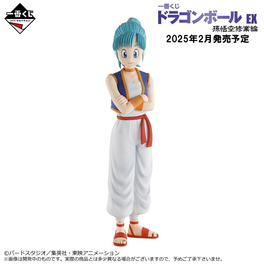 Bulma MASTERLISE