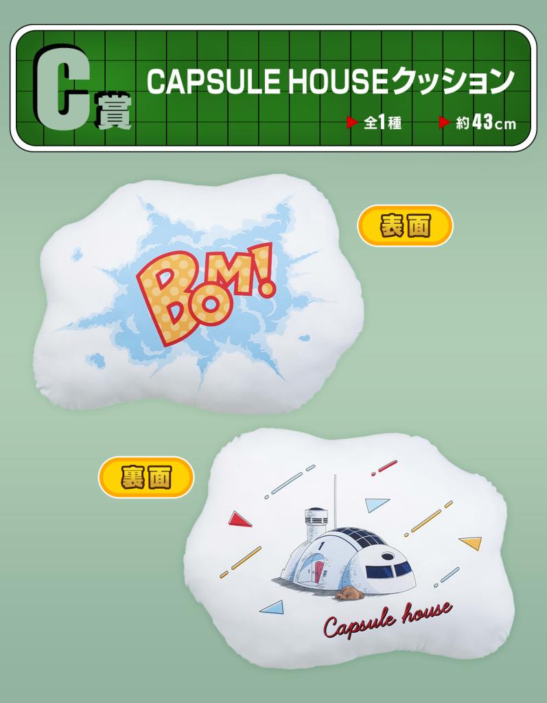 Coussin Capsule House